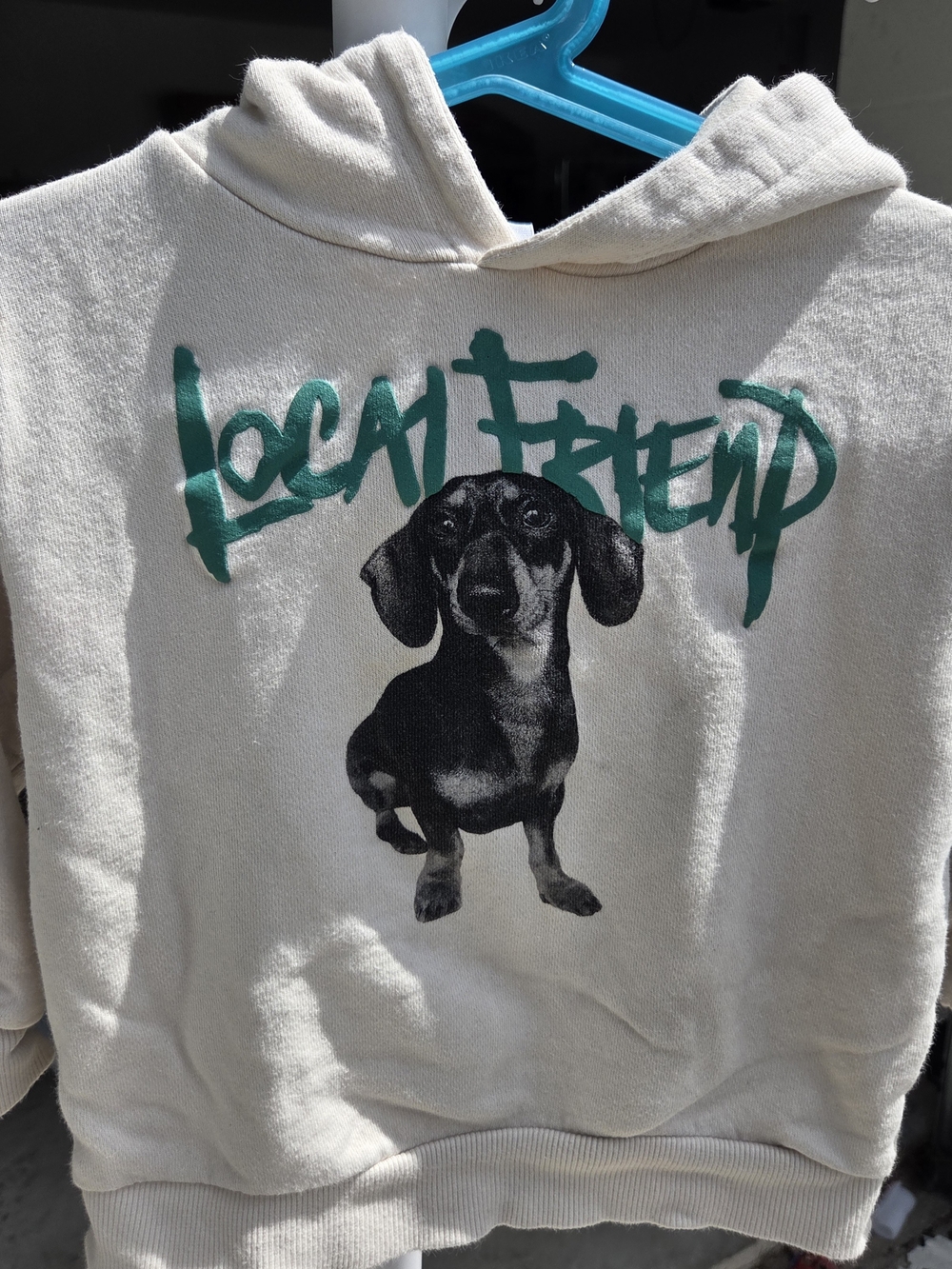 Zara Cream Hoodie with Black Dachshund and Teal Script